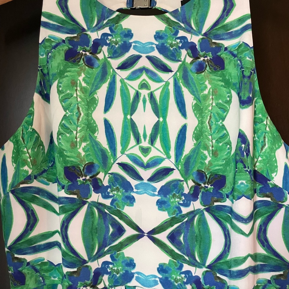 Cynthia Steffe Floral Maxi Dress Size 12 - Picture 2 of 10